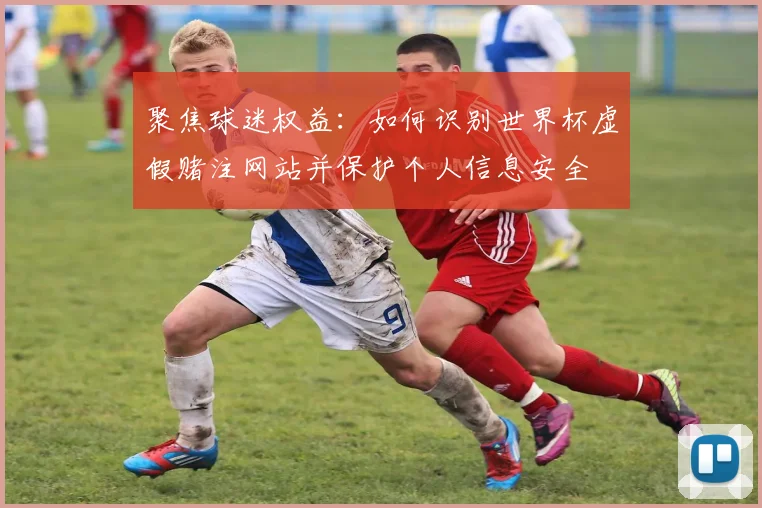 聚焦球迷权益：如何识别世界杯虚假赌注网站并保护个人信息安全