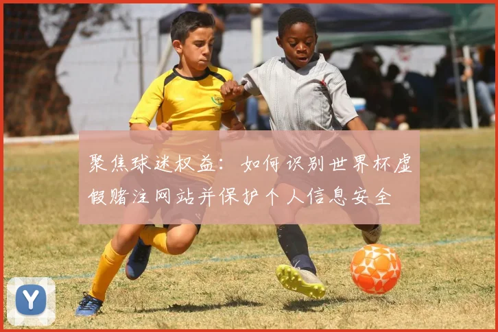 聚焦球迷权益：如何识别世界杯虚假赌注网站并保护个人信息安全