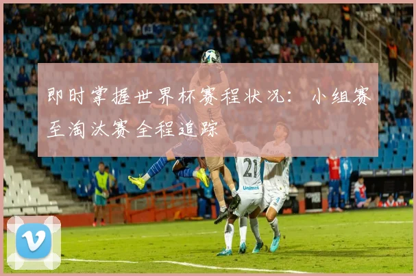 即时掌握世界杯赛程状况：小组赛至淘汰赛全程追踪