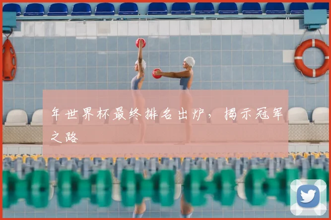年世界杯最终排名出炉,揭示冠军之路