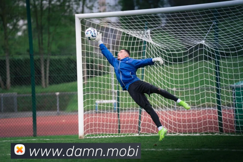 爱体育电竞官网平台生态图