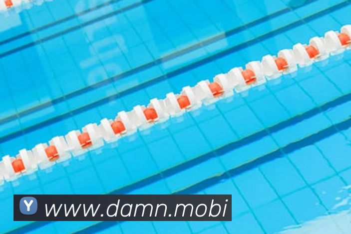 爱体育电竞官网全站App